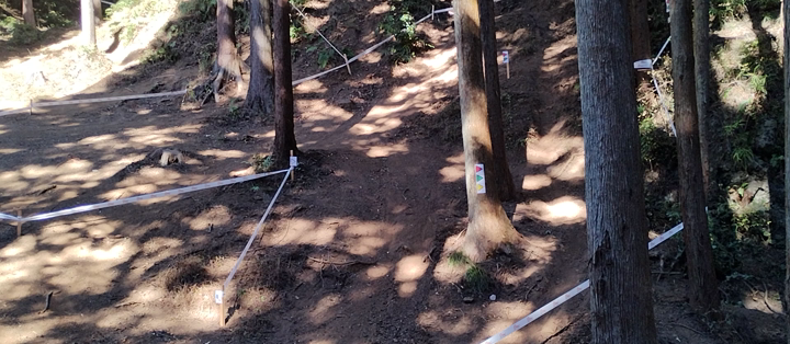 2セク(モモセ下)IB、IA