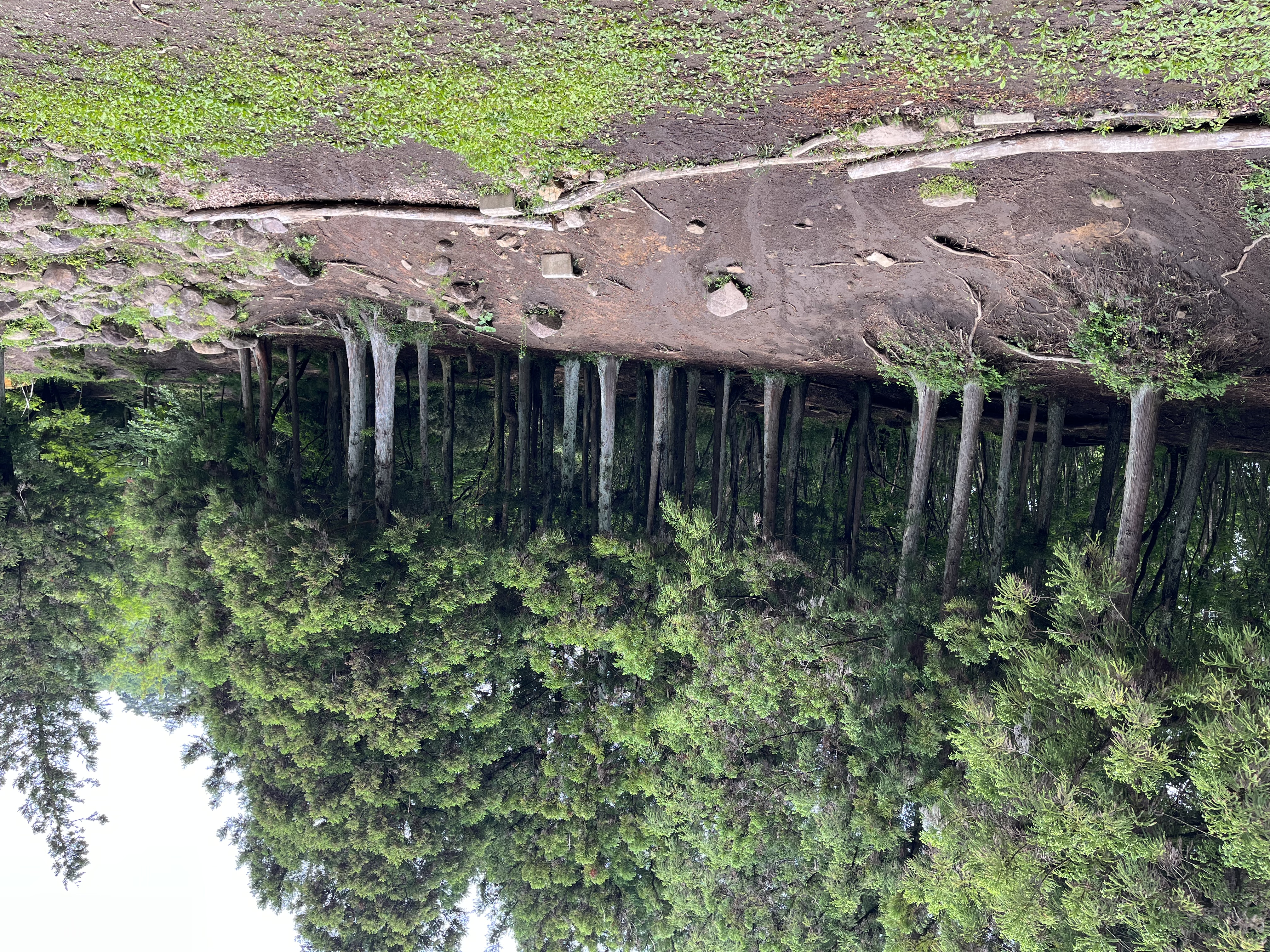 高山トライアルテック